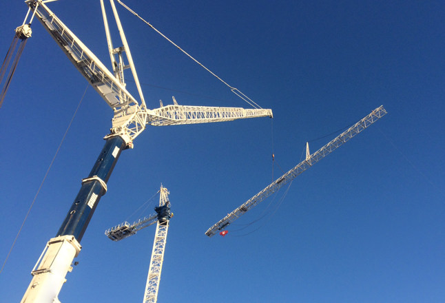 Tower Crane Erect and Dismantle Service